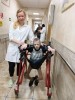 смотреть подробнее...