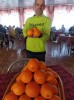 смотреть подробнее...