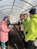 смотреть подробнее...