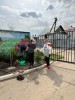 смотреть подробнее...