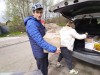 смотреть подробнее...