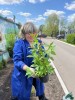 смотреть подробнее...
