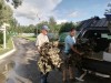 смотреть подробнее...